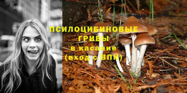 MDMA Аркадак