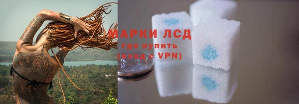 кокс Арсеньев