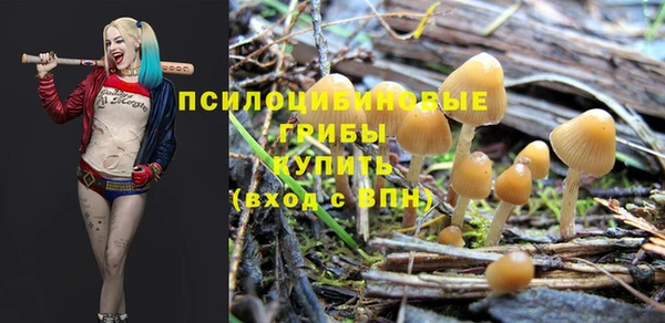стафф Армянск
