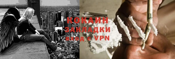 кокс Арсеньев